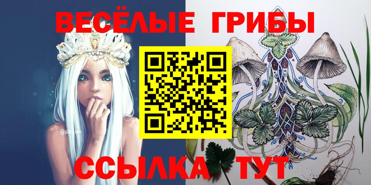 Хабаровск  где продают   Вход с VPN  Галлюциногенные грибы Cubensis 