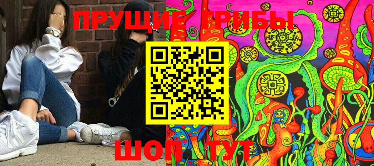 Псилоцибиновые грибы мицелий Хабаровск
